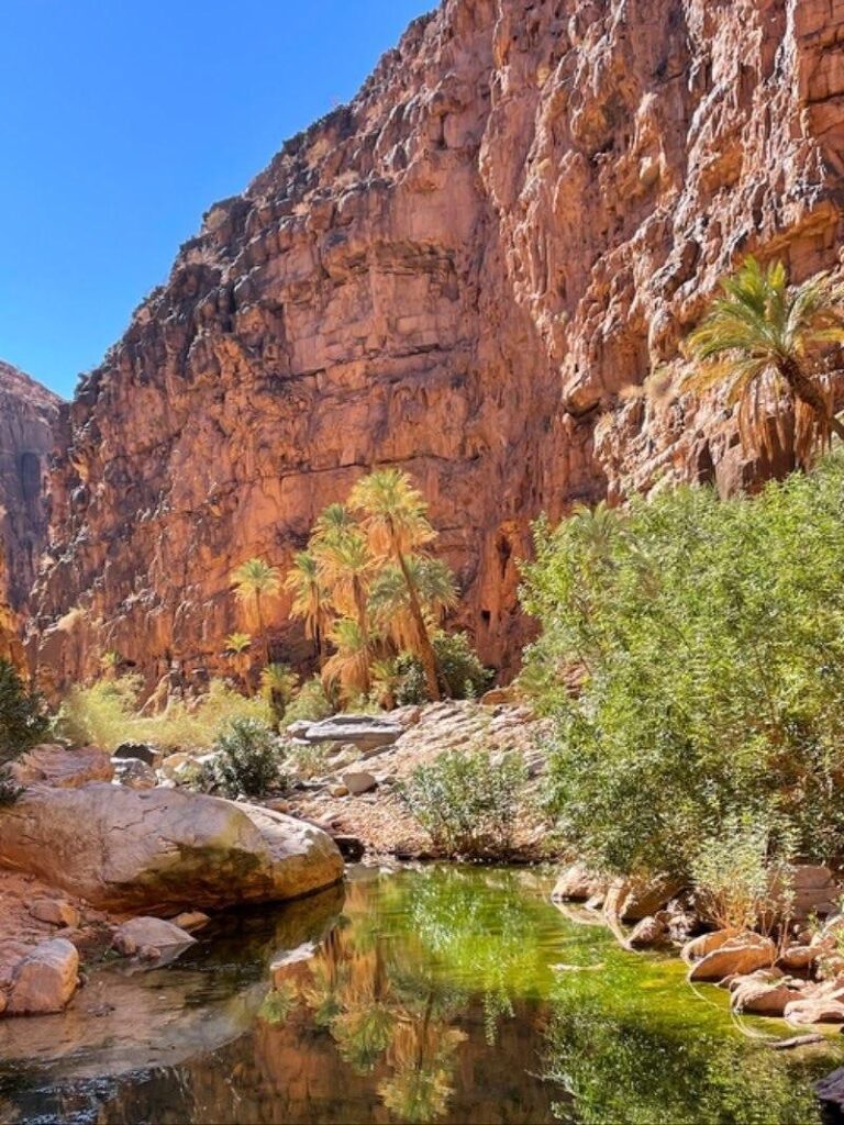 Paradise Valley Hiking Day Trip
