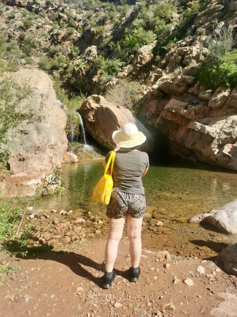 Paradise Valley Hiking Day Trip