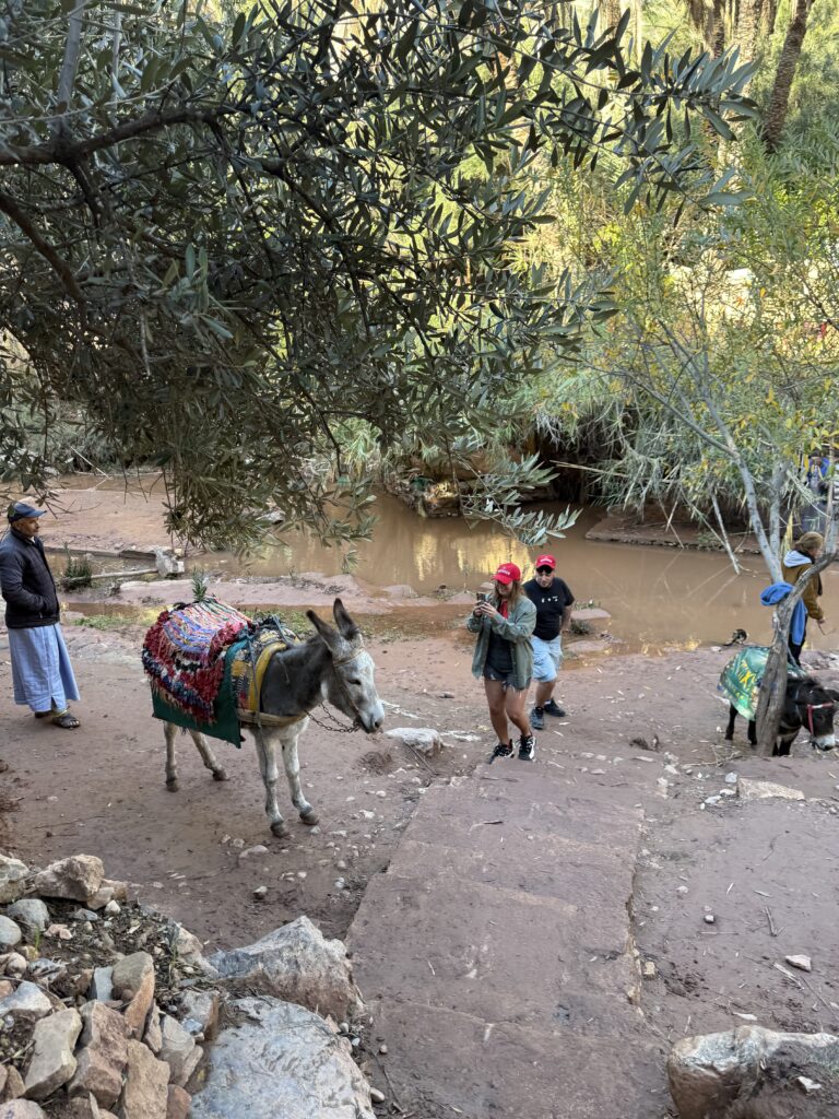 Paradise Valley Hiking Day Trip